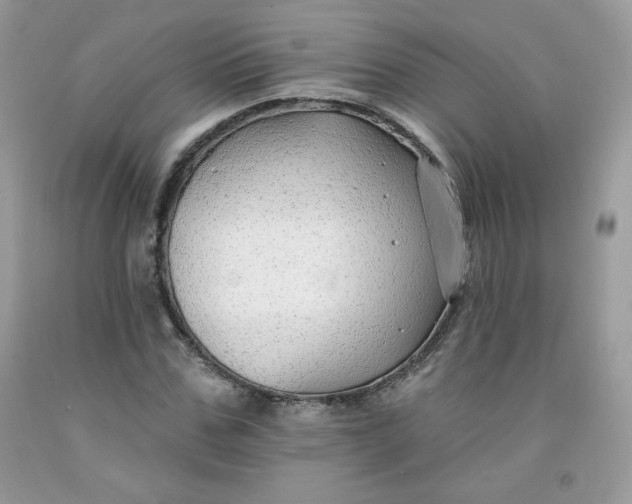 X0000091700971200709141056