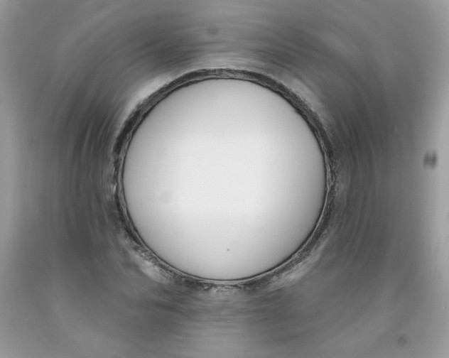 X0000091700974200709141056