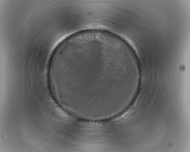 X0000091700975200709141056