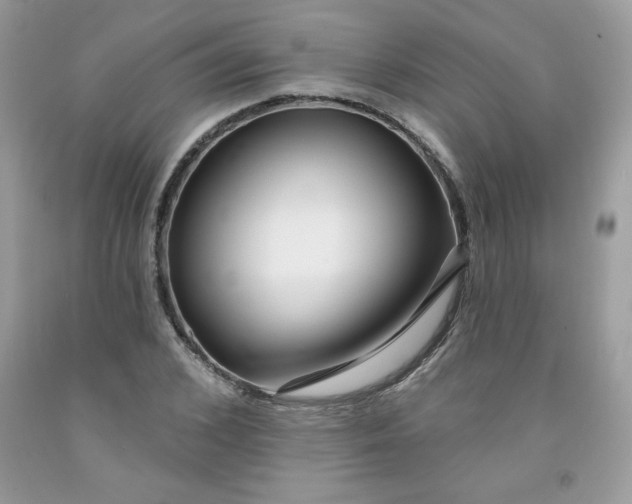 X0000091700976200709141056