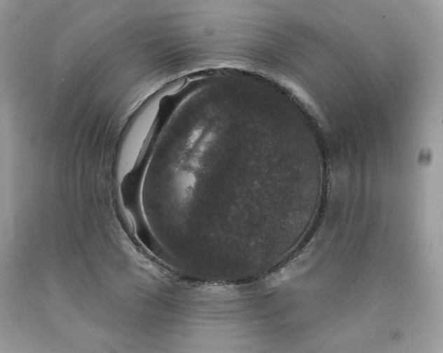 X0000091700977200709141056