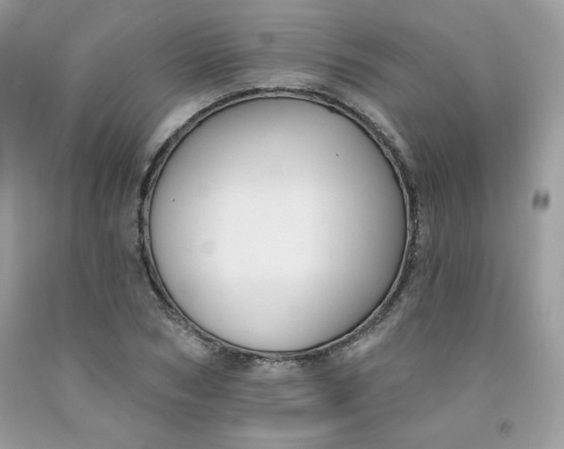 X0000091700978200709141056