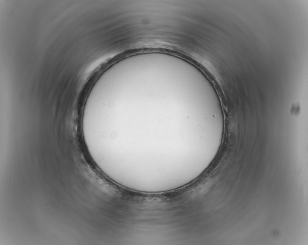 X0000091700979200709141056