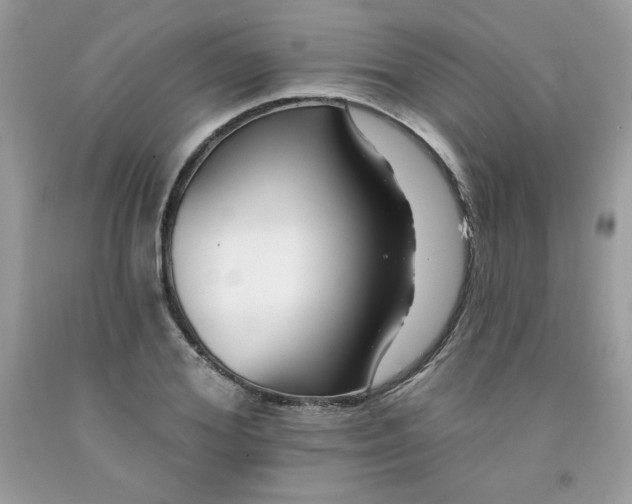 X0000091700980200709141056