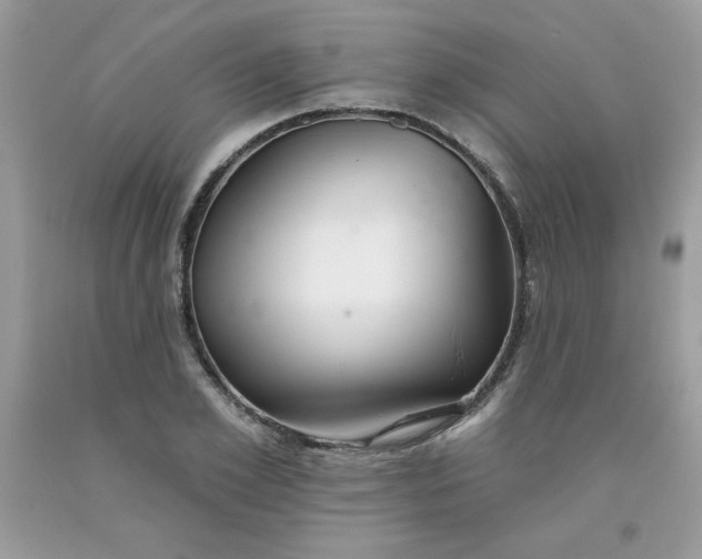 X0000091700981200709141056