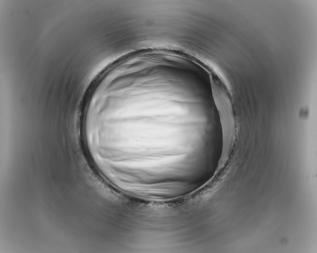 X0000091700983200709141056