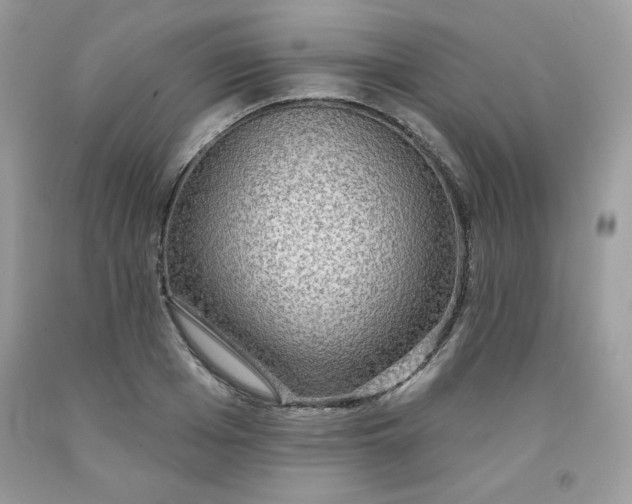 X0000091700985200709141056