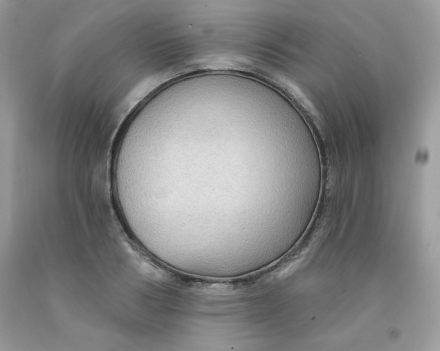 X0000091700986200709141056