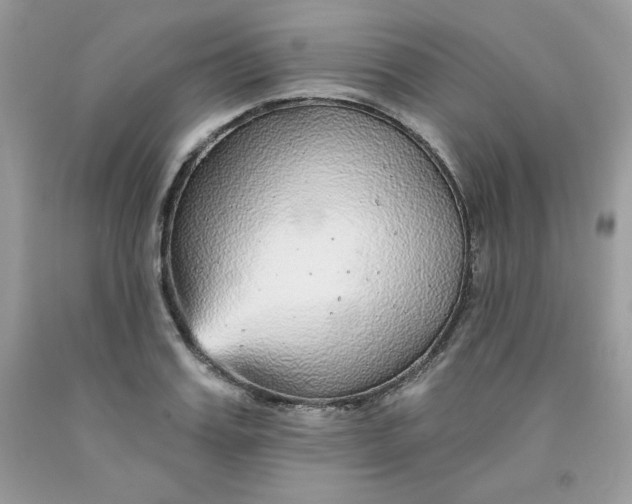 X0000091700987200709141056