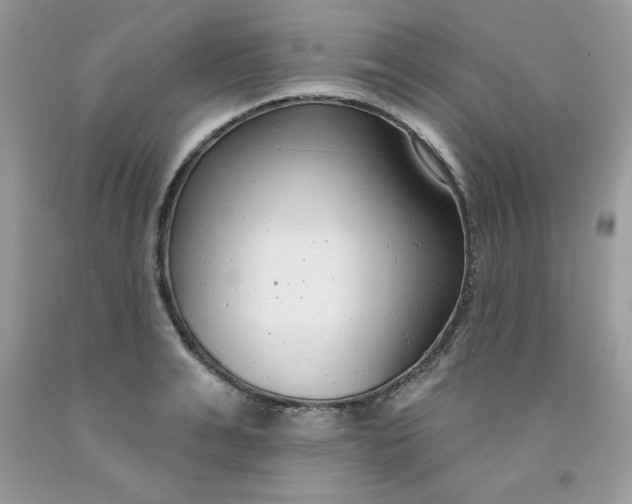 X0000091700991200709141056