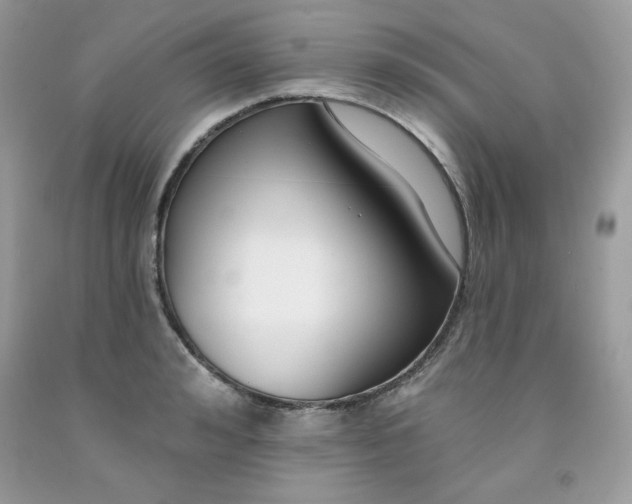 X0000091700992200709141056