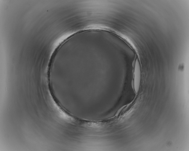 X0000091700995200709141056