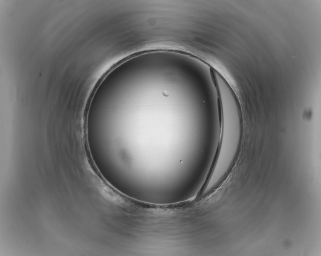 X0000091700996200709141056