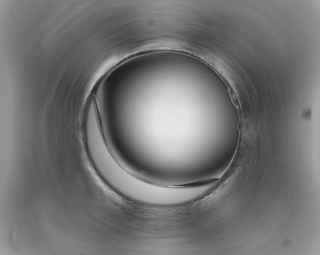 X0000091700997200709141056