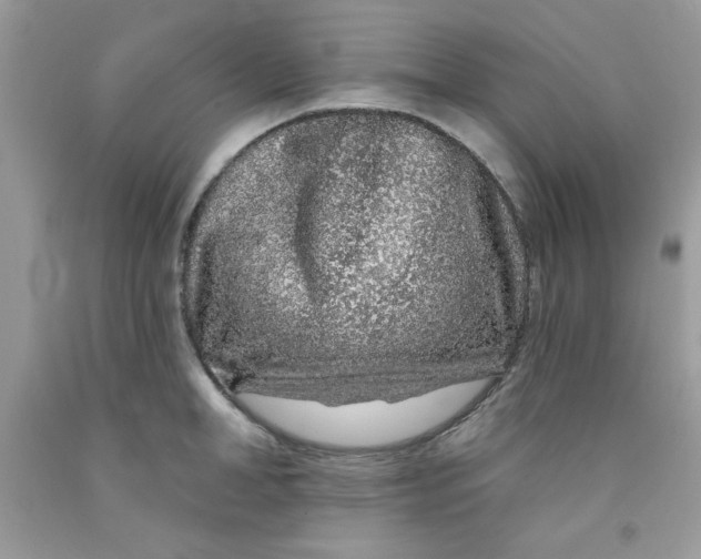 X0000091700998200709141056