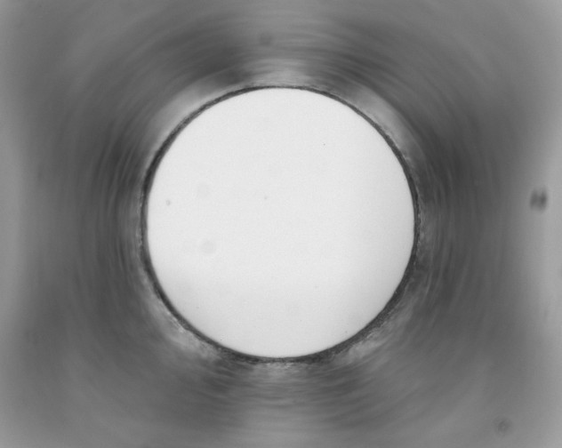 X0000091701000200709141056