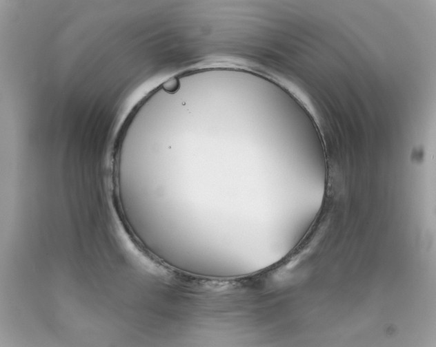 X0000091701003200709141056