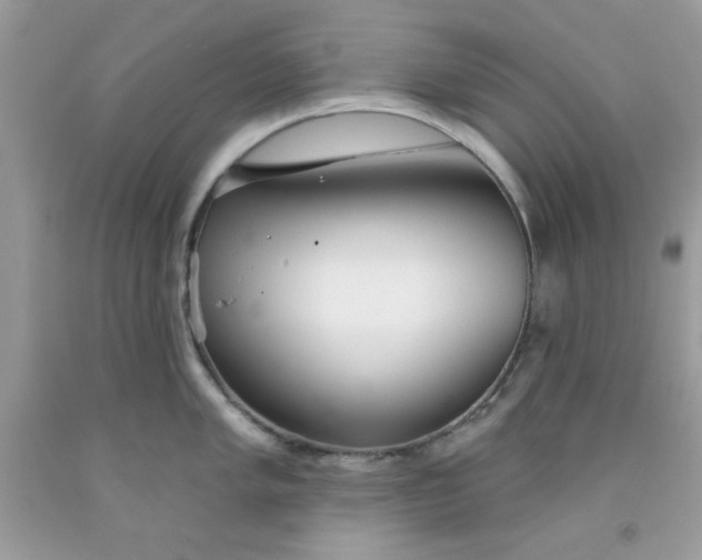 X0000091701005200709141055