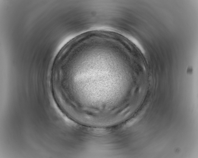 X0000091701007200709141055