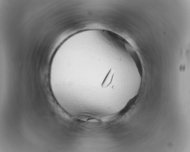 X0000091701008200709141055