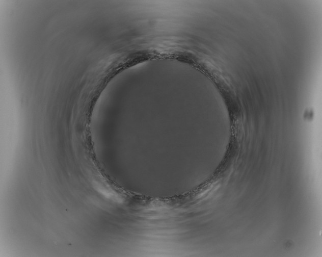 X0000091701009200709141055