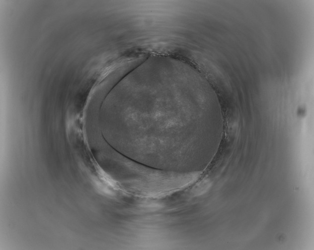 X0000091701010200709141055