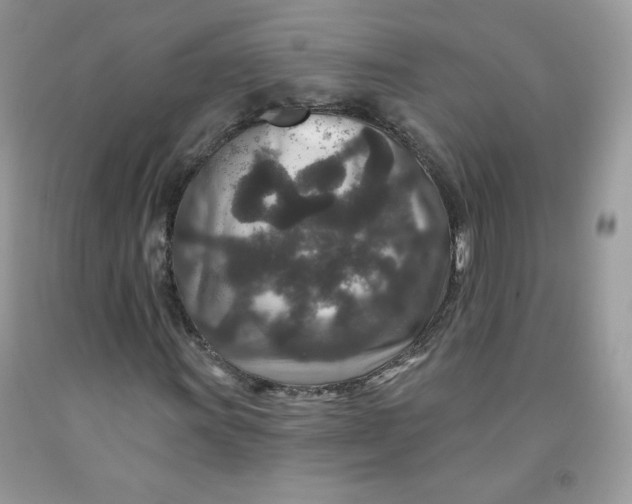 X0000091701011200709141055