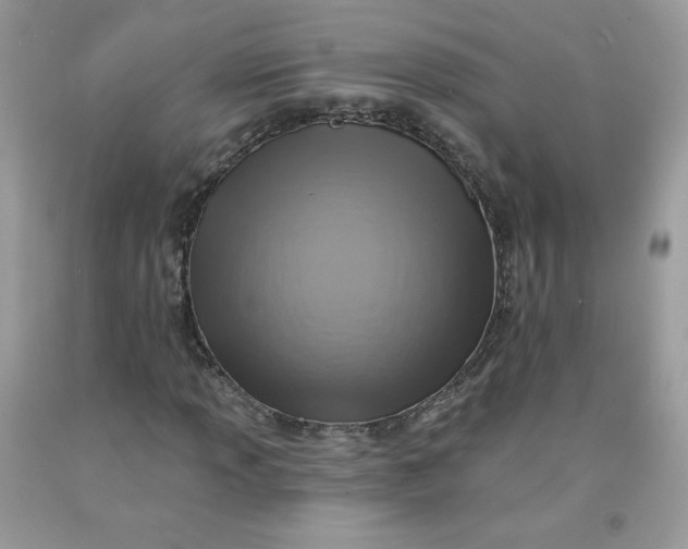 X0000091701013200709141055