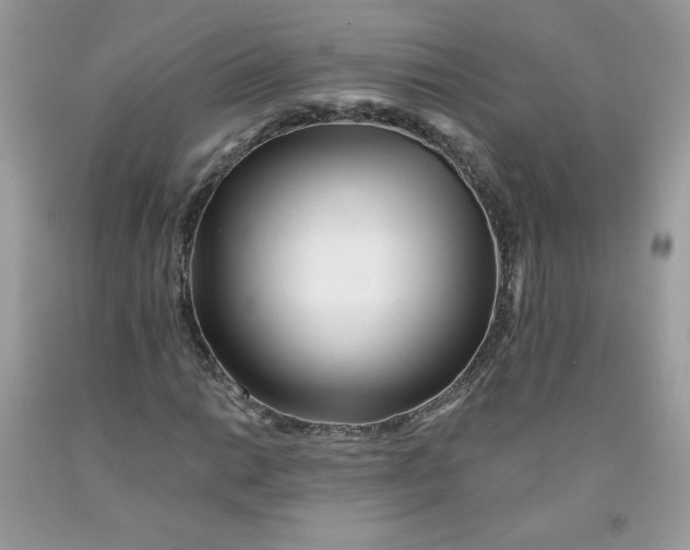 X0000091701014200709141055