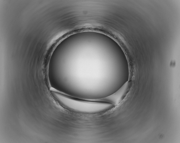 X0000091701018200709141055