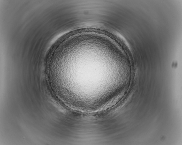 X0000091701019200709141055