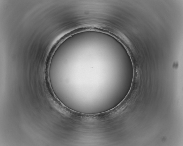 X0000091701020200709141055