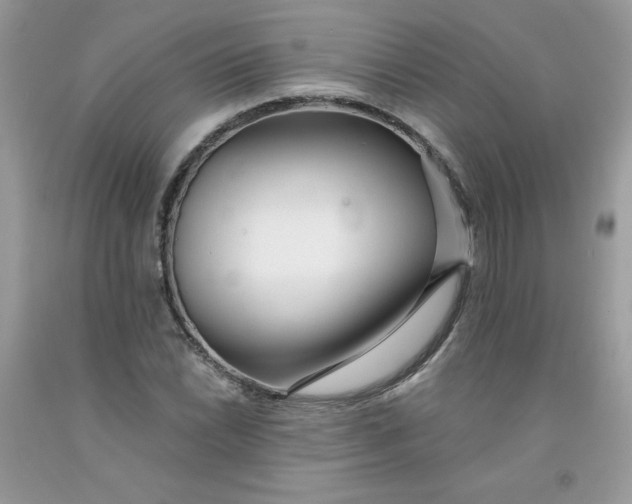 X0000091701022200709141055