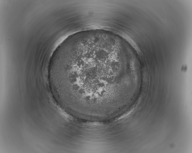 X0000091701023200709141055