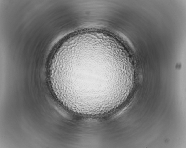 X0000091701027200709141055