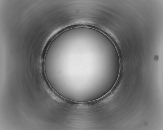 X0000091701029200709141055