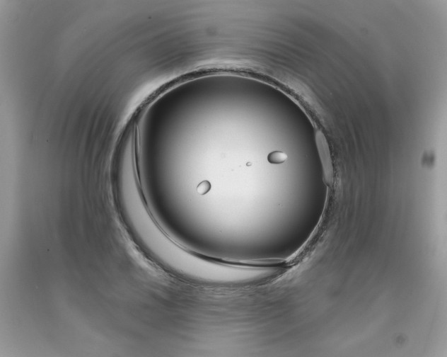 X0000091701030200709141055