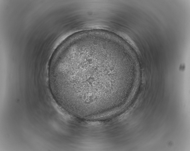 X0000091701031200709141055