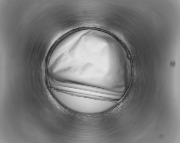 X0000091701032200709141055