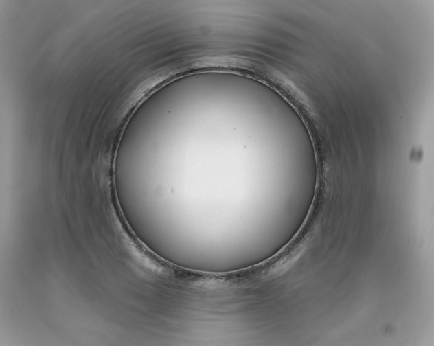 X0000091701033200709141055