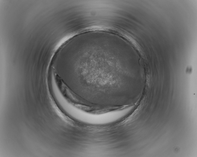 X0000091701034200709141055