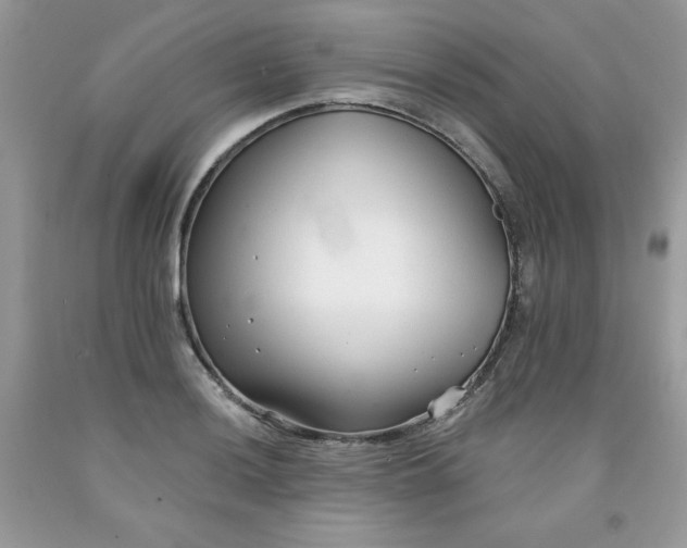 X0000091701036200709141055