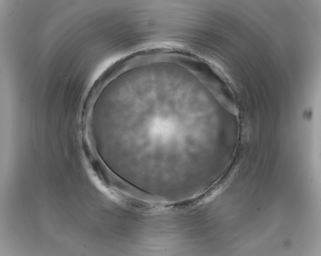 X0000091701038200709141055