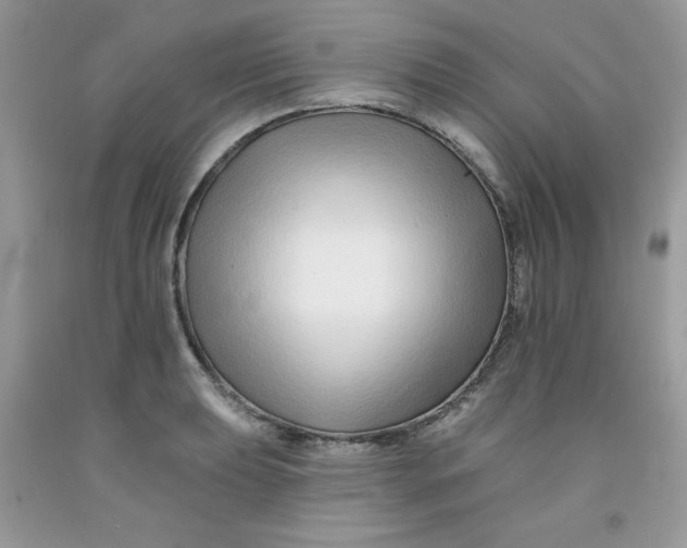 X0000091701039200709141055