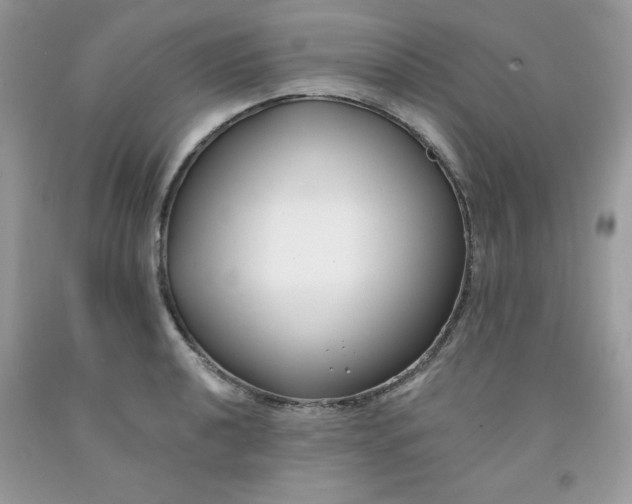 X0000091701040200709141055