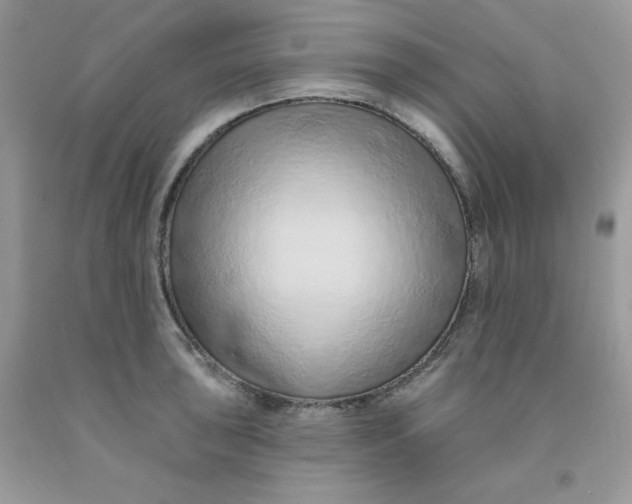 X0000091701043200709141055