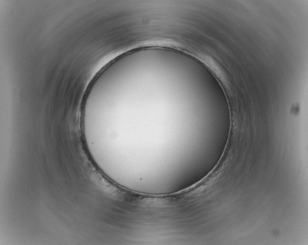 X0000091701044200709141055