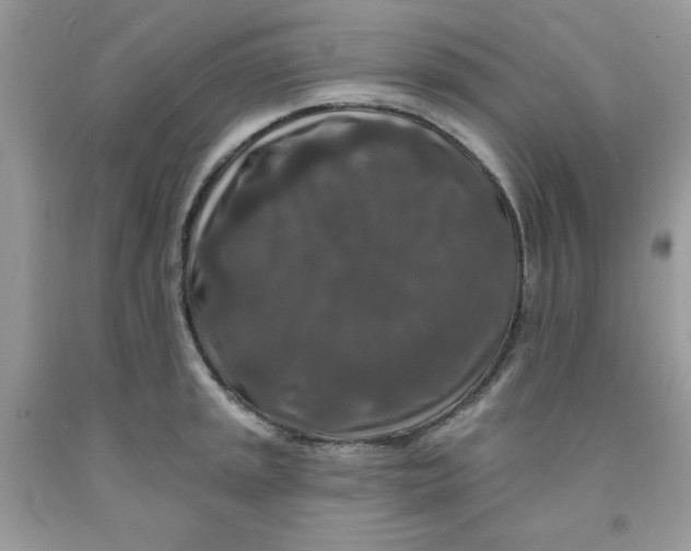 X0000091701045200709141055