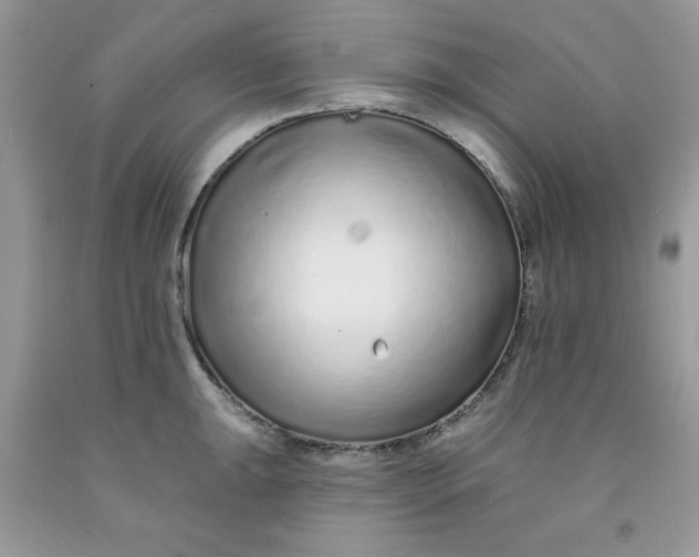 X0000091701047200709141055