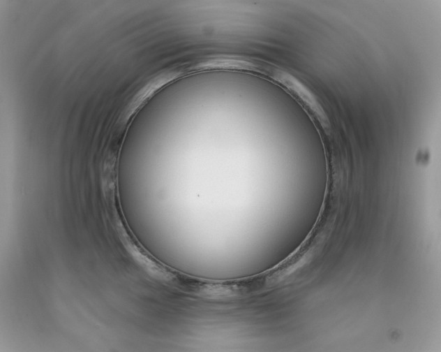 X0000091701049200709141055